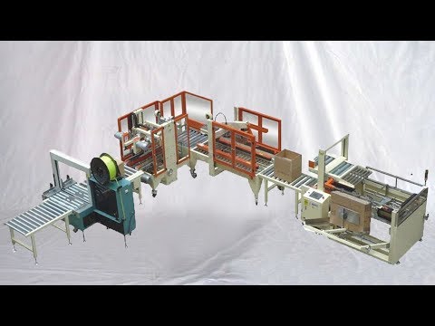 fully automatic end packaging line carton opening forming boxes feeding sealing palletizing solution