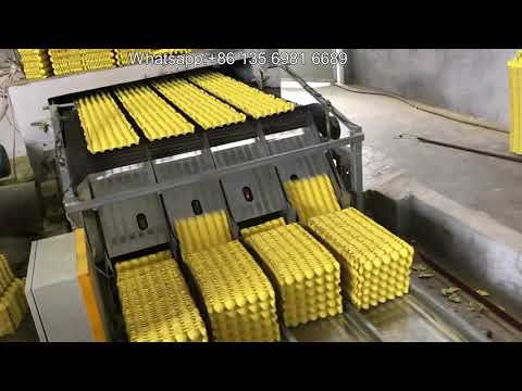 Fully automatic egg tray production line ----- Packing system