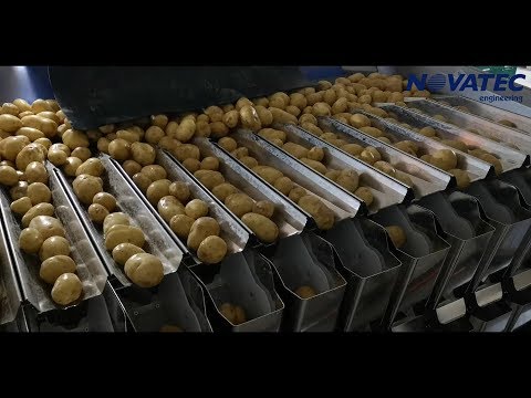 Novatec S.A. - Sorting, Weighing &amp; Packing Line For Potatoes