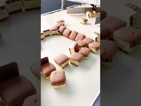 Cupcake Automatic Sorting Line Cake Automatic Packaging Machine