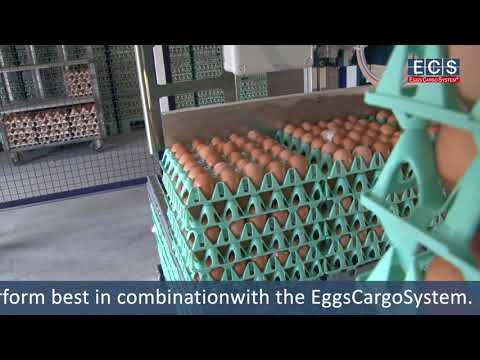 The EggsCargoSystem® and egg handling machines