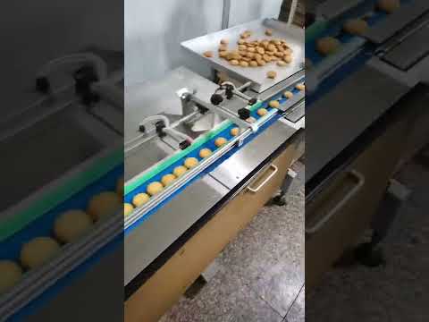 Biscuits automatic packing line