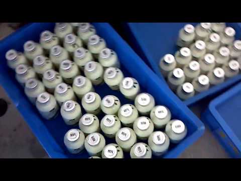 Pharma Industry Bottle Top To Bottom Shrink Wrap Machine Steam Tunnel Machine