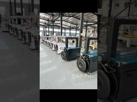 Professional carton box packing line case erector case sealer pallet wrapping Machine palletizer