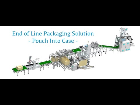 Automatic Case Packing Line for Pouches into Cartons | Automatic Case Packer